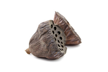 Dried lotus flower seed pods isolated on white