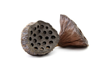 Dried lotus flower seed pods isolated on white