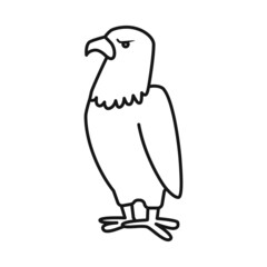Isolated object of bird and eagle icon. Set of bird and predatory stock symbol for web.