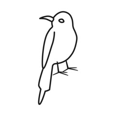 Vector illustration of bird and bee-eater symbol. Set of bird and wing vector icon for stock.