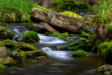 water, brook, nature, forest, beautiful, natural, background, park, soothing, running water