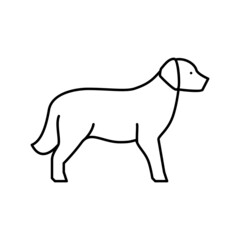 golden retriever dog line icon vector illustration