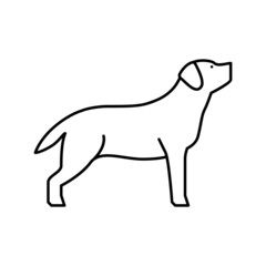 labrador retriever dog line icon vector illustration