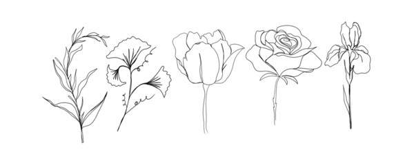 line art drawing of flowers. big set of line art of flowers and plants .minimalism sketch, idea for invitation, design of instagram stories and highlights icons