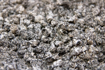 cigarettes and ashes in ashtray close-up texture