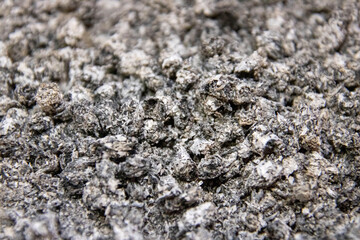cigarettes and ashes in ashtray close-up texture
