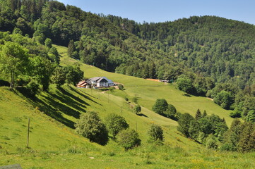 Joli paysage sur la route des crêtes dans les Vosges-France