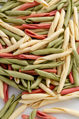 homemade pasta fusilli pugliesi tris