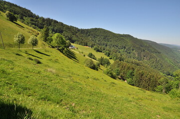 Fototapeta na wymiar Joli paysage sur la route des crêtes dans les Vosges-France