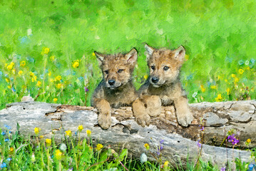 Wolf cubs,digital oil painting