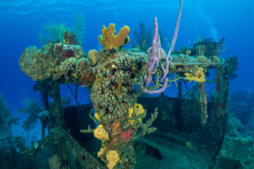 A coral encrusted section of the wheelhouse from the wreck of the Doc Poulson in Grand Cayman. This...