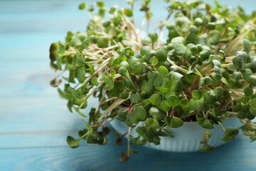 Fresh radish microgreens in bowl on light blue wooden table, closeup