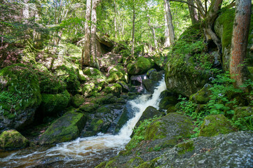 Idyllic scenery: Beautiful Waterfall cascades in Ysperklamm in Lower Austria. Waldviertel. Nature...