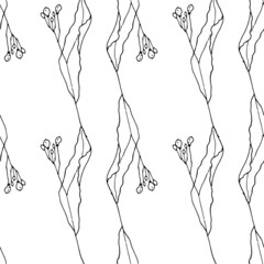 linden flowers to the pattern . Sketched flower with linden tree buds, isolated black outline vertically often on white for packaging design template, label