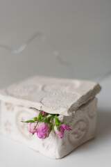 dried roses in a ceramic box on a white background in a minimalist still life