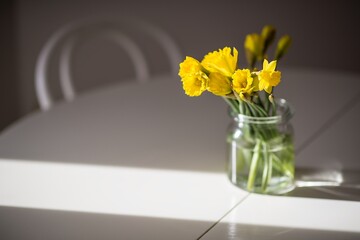 Daffodils in a glass on the table, with chairs in the room