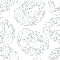 seamless vector pattern with peonies