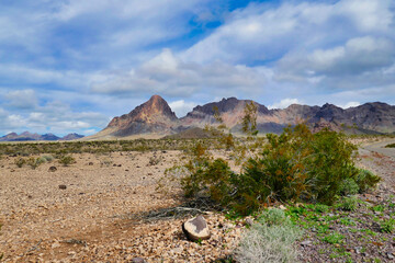 Desert landscape of Wild Spring Wilderness Area, along the old Route 66, between Havasu and Oatman,...