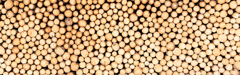 stack of pine tree trunk