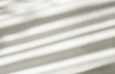 Organic shadow on white wall, overlay effect for photos, mockups, posters, stationery, wall art,...