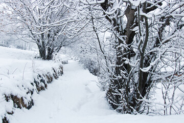 paysage sous la neige en hiver dans les alpes en France dans l'Oisans à Vaujany