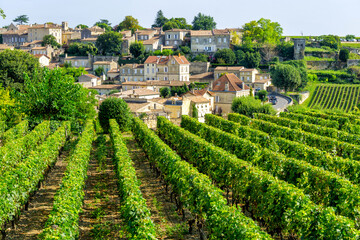 Vineyards of Saint Emilion village - obrazy, fototapety, plakaty