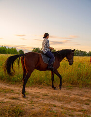  A girl rides a horse in a field on a warm evening at sunset.