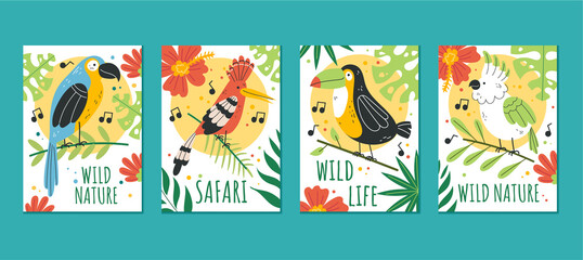 Jungle african birds cards template illustration graphic design set collection