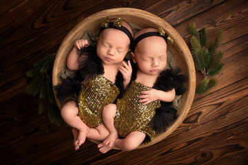Tiny newborn twin girls in a gold-colored bodysuit. The twins are lying in a round wooden basket on...