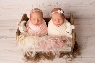 Tiny newborn twin girls in a white and pink cocoon in a cute wooden crib against the background of...