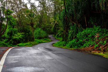 Obraz premium Nanawala Park, Big Island Hawaii