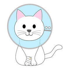 A white cat with an Elizabethan collar 