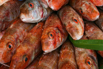 A close up image of a striped red mullet fish, available for sale in a market.