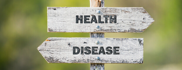 opposite signs on wooden signpost with the text quote health disease engraved. Web banner format.