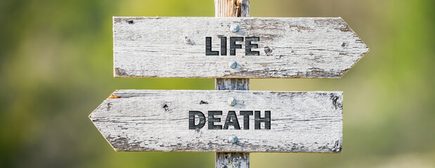 opposite signs on wooden signpost with the text quote life death engraved. Web banner format.