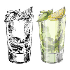 Mojito cocktail with lime and mint in highball glass. Vintage hatching vector