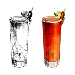 Vampiro pepper cocktail with cherry and slice orange. Vector vintage hatching