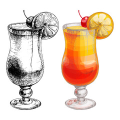 Tequila sunrise cocktail with cherry and slice orange. Vector vintage hatching