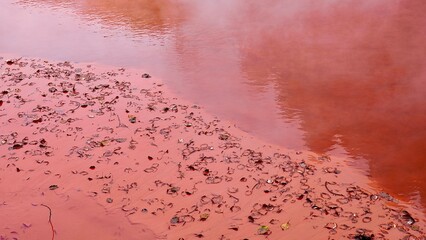 大分県別府市の温泉　地獄めぐりにある血の池地獄の水面
