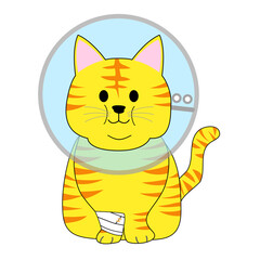 A fat tabby cat with an Elizabethan collar 