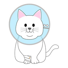 A fat white cat with an elizabethan collar 