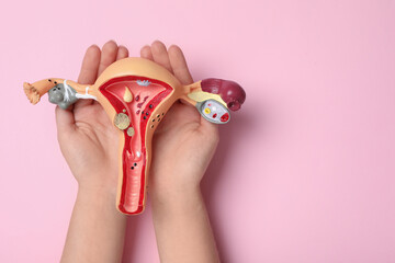 Woman with anatomical model of uterus on pink background, top view and space for text. Gynecology...