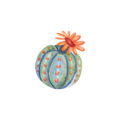 Cactus with flower watercolor hand painted illustration isolated on a white background. Succulent illustration
