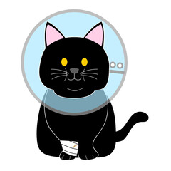 A fat black cat with an Elizabethan collar 