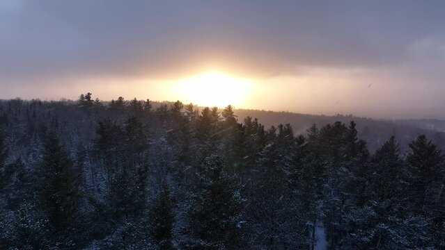 Sunset beyond snow-covered woods Aerial view 