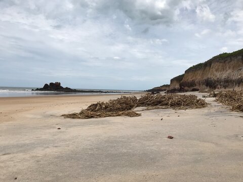 Falésias 03 Costa Dourada (Bahia - Brasil)