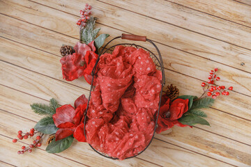 Shoot set up with flowers, bucket for newborn on the light wood background. Photo zone for a photo session of newborns. Setup ready for newborn photo shoot and baby photography. Winter fantasy 