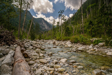 view of river stream surrounded by trees and stones on shores, hills on background, Morskie Oko, Sea Eye, Tatra National Park, Poland © Arpan