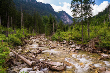 view of river stream surrounded by trees and stones on shores, hills on background, Morskie Oko, Sea Eye, Tatra National Park, Poland - obrazy, fototapety, plakaty