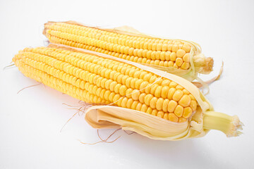 fresh corn on the white